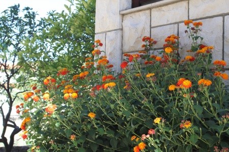 Apartmány 3298-1490 - 81