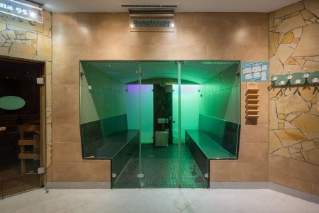 Ifa Schöneck Hotel & Ferienpark (Schöneck) - 128