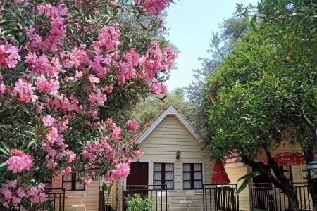 Clover Magic Nova Beach - 18