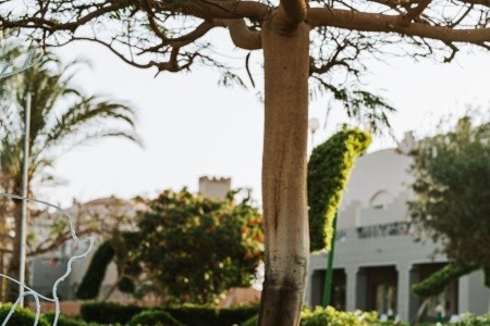 Sentido Akassia Beach - 101