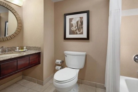 Hilton Orlando Lake Buena Vista - 6