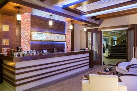 Dizalya Palm Garden - 11