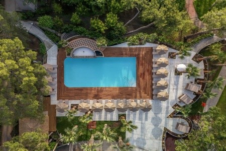 Balmy Foresta (Ex. Paloma Foresta) - 2