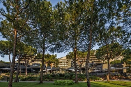 Balmy Foresta (Ex. Paloma Foresta) - 5