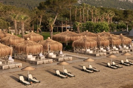 Balmy Foresta (Ex. Paloma Foresta) - 6