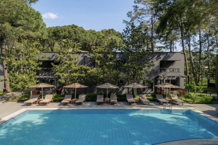 Balmy Foresta (Ex. Paloma Foresta) - 9