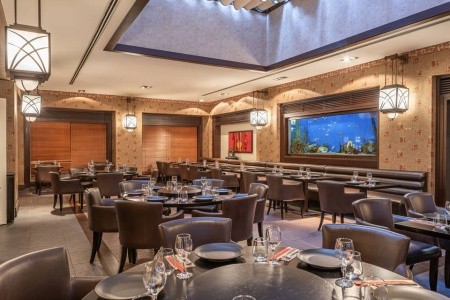 Balmy Foresta (Ex. Paloma Foresta) - 16