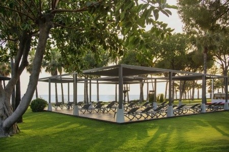 Acanthus & Cennet Barut Collection - 20