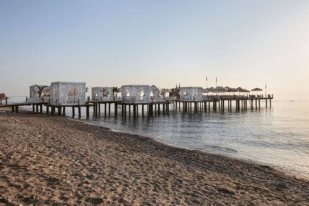 Juju Premier Palace - 12