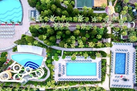 Delphin Diva Premiere - 5