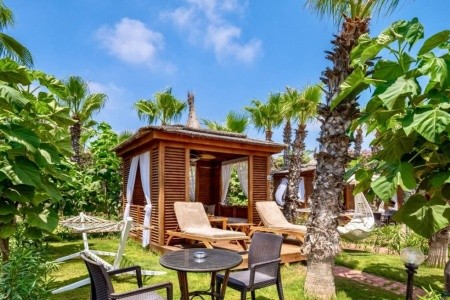 Delphin Diva Premiere - 11