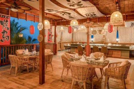 Delphin Diva Premiere - 17