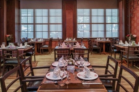 Delphin Diva Premiere - 19