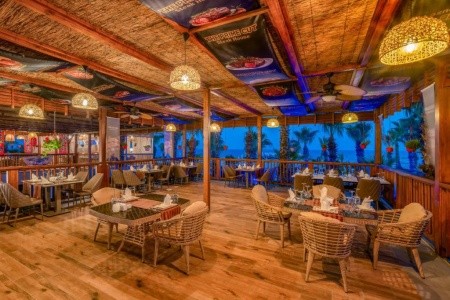 Delphin Diva Premiere - 20