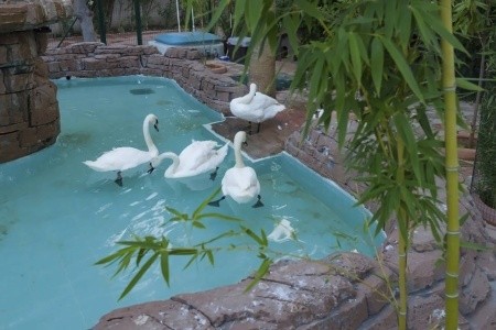 Club Akman Beach - 9