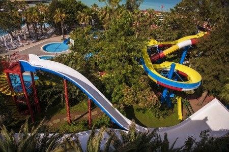 Delphin Botanik Platinum - 23