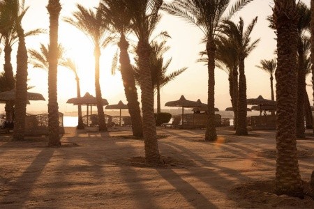 Palm Royale Resort Soma Bay - 13