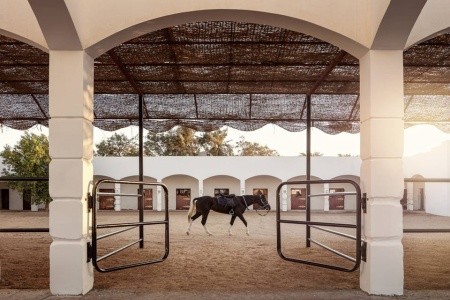 Palm Royale Resort Soma Bay - 46