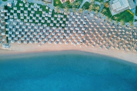 Jaz Neo Saraya Palms - 7