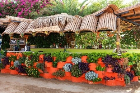 Elysees Dream Beach - 39