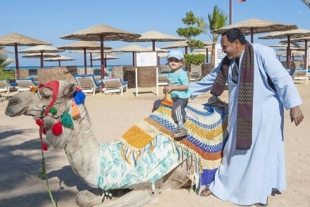 Sea Star Beau Rivage - 23