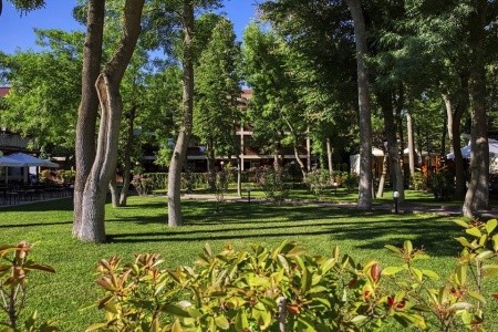 Asteria Family Sunny Beach - 6