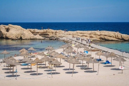 Delphin El Habib - 8