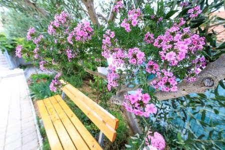 Apartmány 3298-5205 - 74