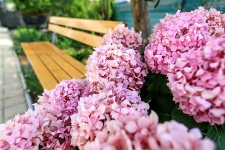 Apartmány 3298-5205 - 75