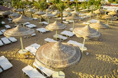 Cataract Resort - 19