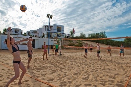 Amphoras Blu (Ex. Shores Aloha) - 16