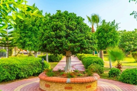 Clover Magic Park Beach Alanya (Ex. Clover Magic Garden Beach) - 8