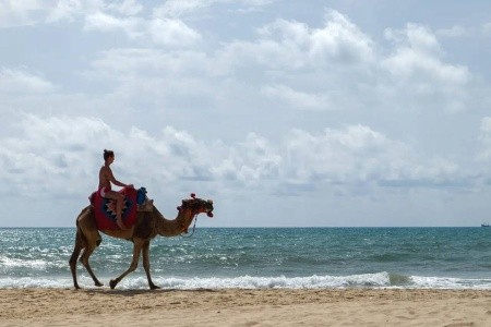 The Orangers Garden Villas & Bungalows - 20