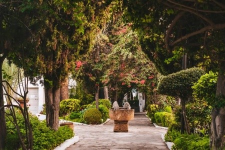 The Orangers Beach Resort & Bungalows - 2