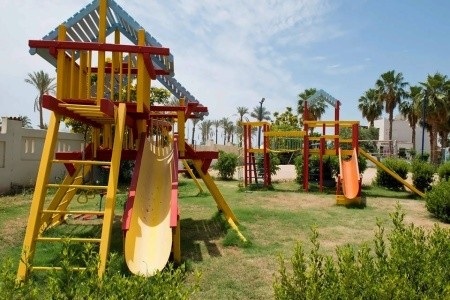 Amphoras Aqua (Ex. Shores Golden) - 9