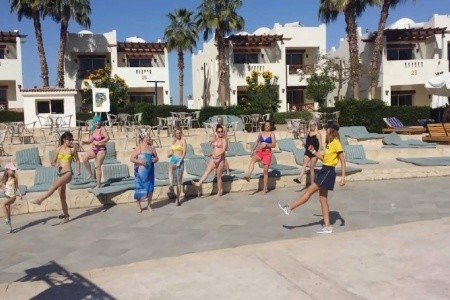 Amphoras Aqua (Ex. Shores Golden) - 10