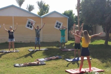 Amphoras Aqua (Ex. Shores Golden) - 11