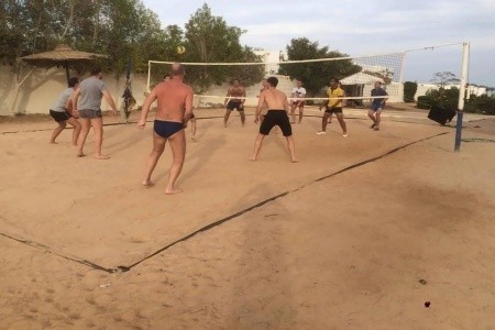 Amphoras Aqua (Ex. Shores Golden) - 12