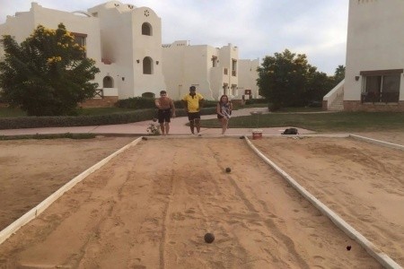 Amphoras Aqua (Ex. Shores Golden) - 13