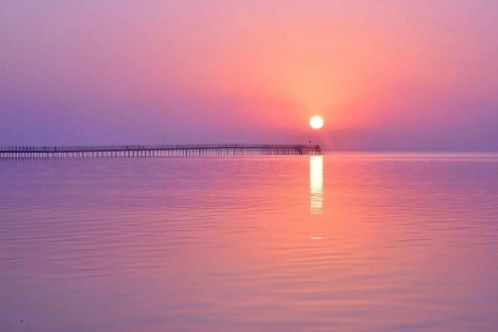 Steigenberger Alcazar - 36