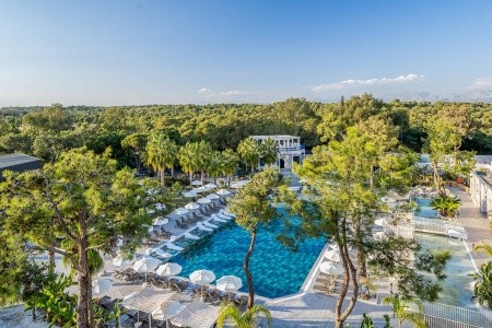 Berry Blue (Ex. Maya World Side) - 2