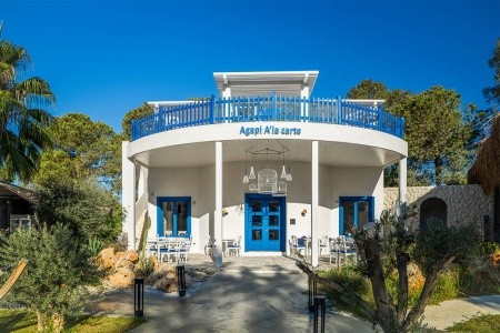 Berry Blue (Ex. Maya World Side) - 10