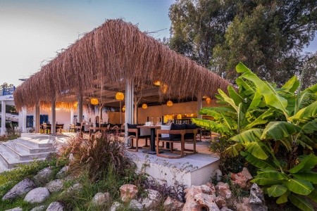 Berry Blue (Ex. Maya World Side) - 23