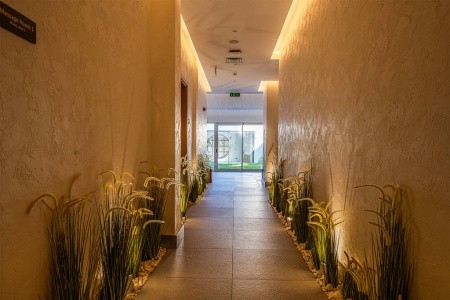 Berry Blue (Ex. Maya World Side) - 27