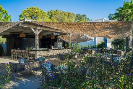 Berry Blue (Ex. Maya World Side) - 33