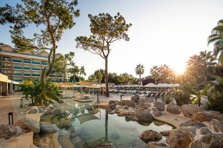 Berry Blue (Ex. Maya World Side) - 42