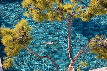 Berry Blue (Ex. Maya World Side) - 43