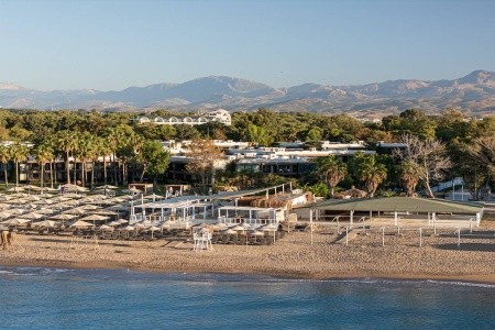 Berry Blue (Ex. Maya World Side) - 45