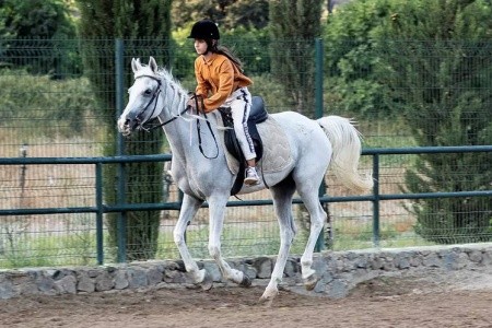 Viverde Berke Ranch - 15