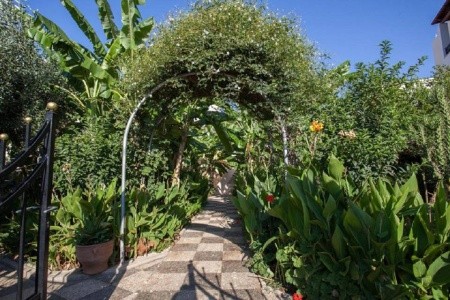 Bali Dorian Apartments - 7